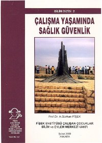 Çalışma Yaşamında Sağlık Güvenlik Kitabı
